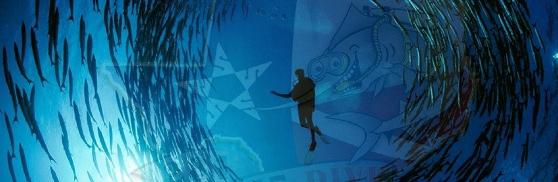 Gigglin Marlin Dive and Swim Cover Image