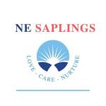 Ne Saplings Profile Picture