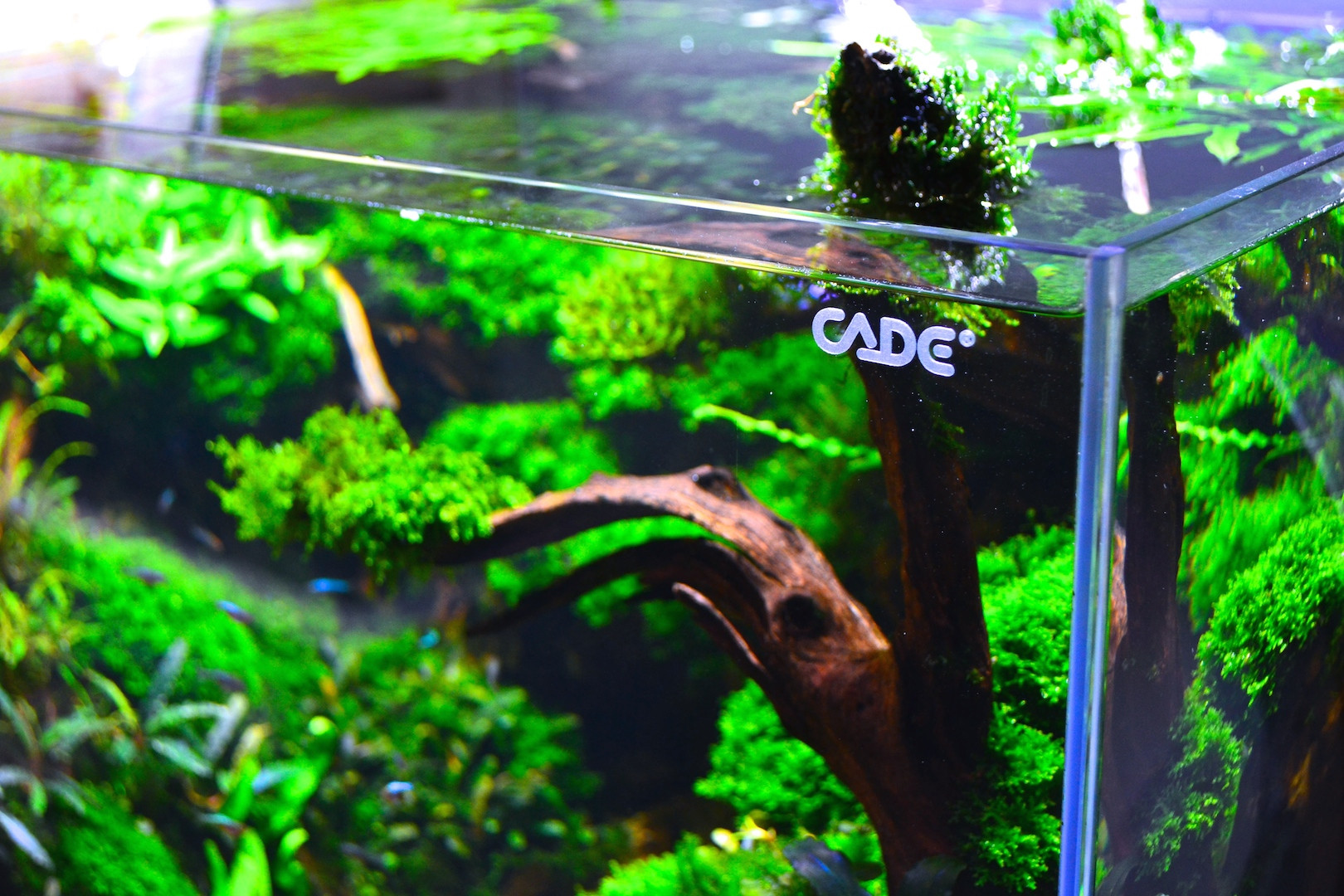 Mind Vault Benefits | Profile