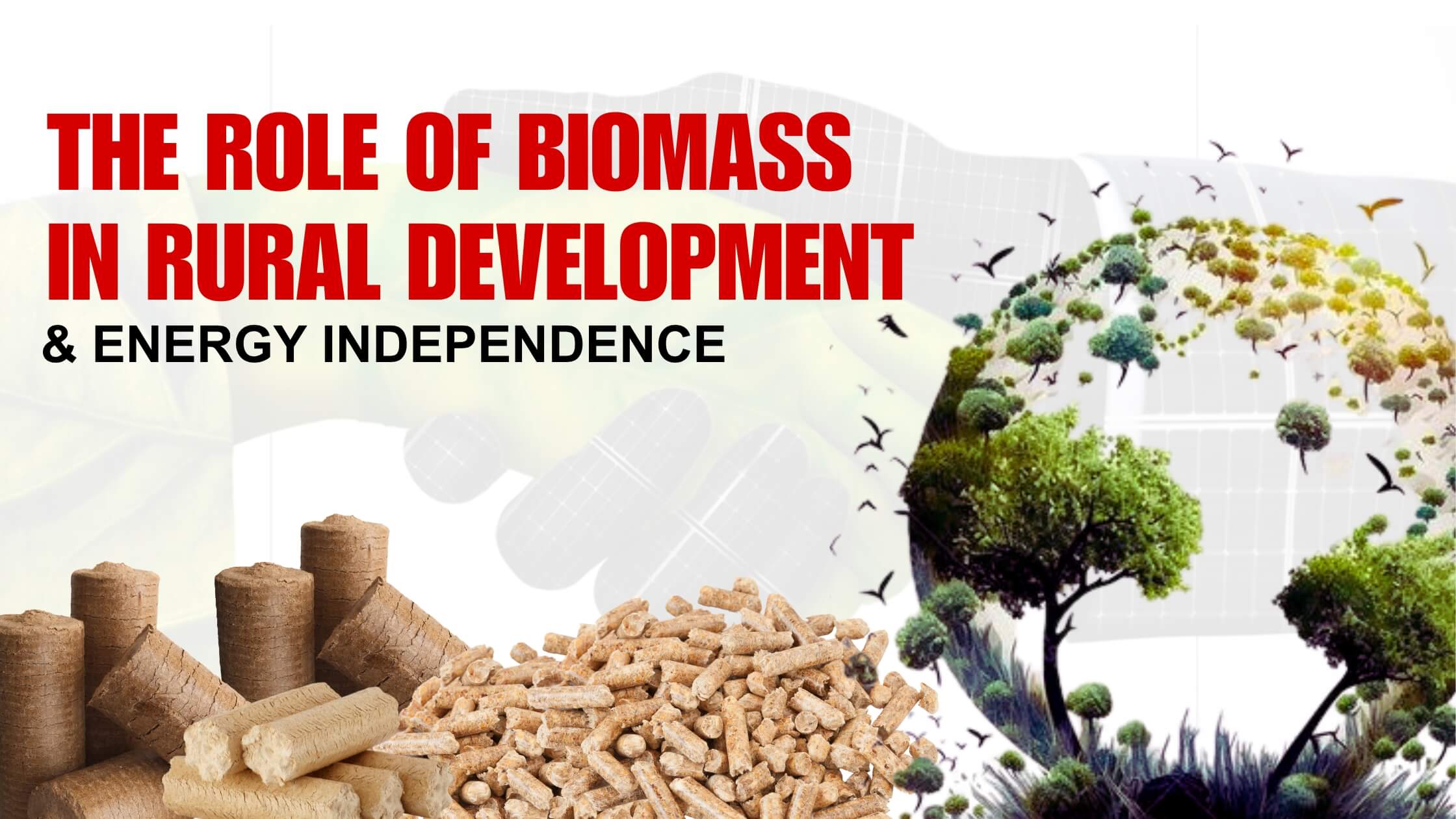 The Role of Biomass in Rural Development and Energy Independence