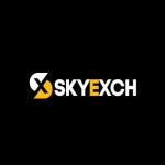 Skyexchange profile picture