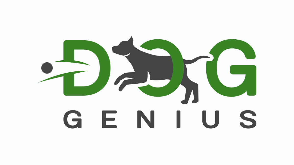 Doggy Daycare, Board & Train, Private Training in Mississauga