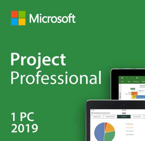 microsoft project professional 2019