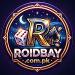 Roidbay pak profile picture