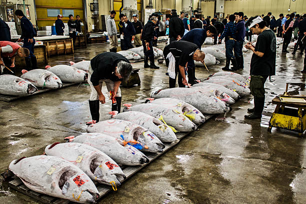 Seafood and Food Quality Inspection Services in China