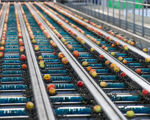 Automotive Lubricants UAE | Best Automotive Lubricants