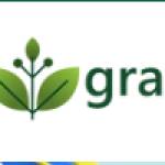 gramiti gramiti Profile Picture