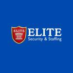 elitesecuritystaffing profile picture