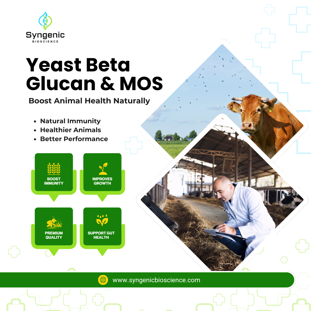 Boost Animal Health with Yeast Beta Glucan & MOS