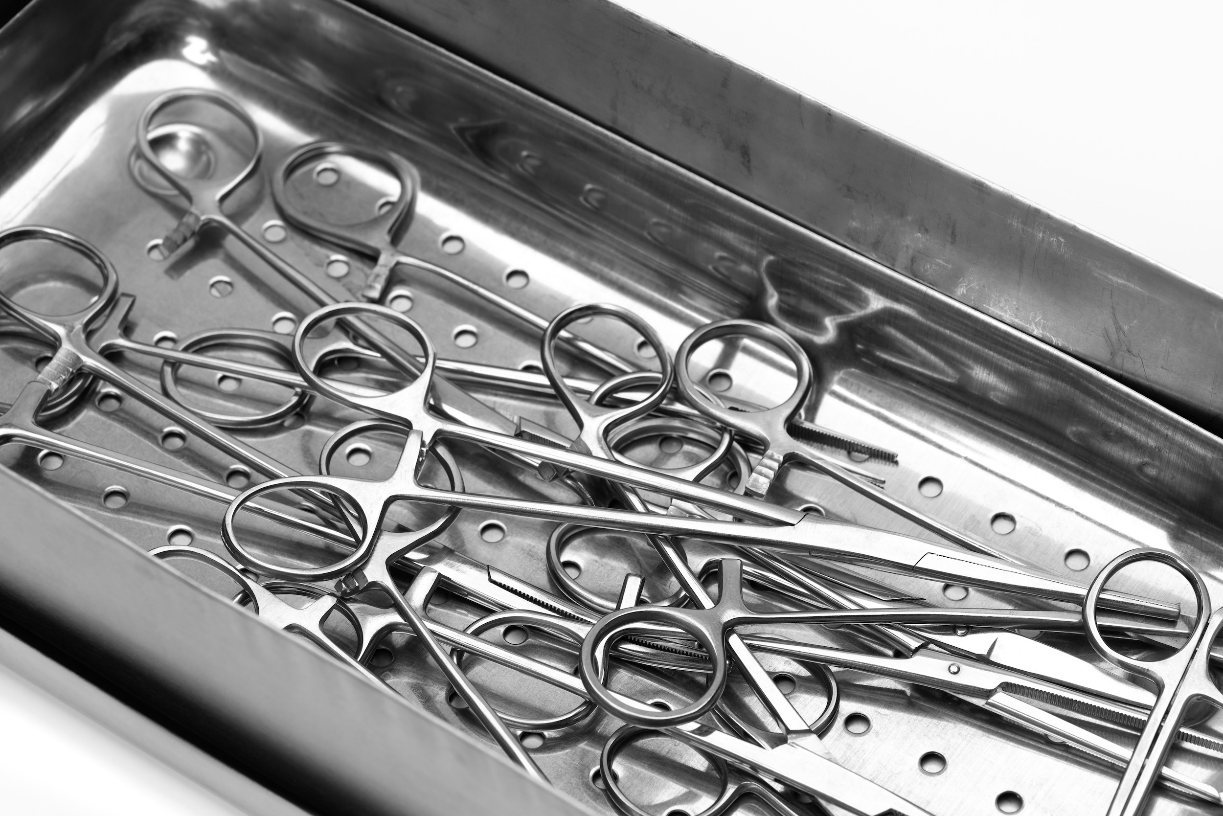 Importance of Sterilization in Veterinarian Hospitals | VetOvation
