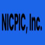 nic picinc Profile Picture