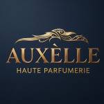 Auxélle Mobile Detailing profile picture