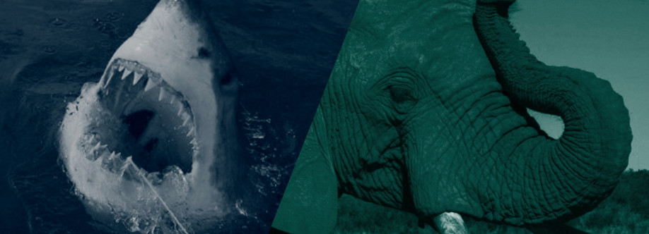 Oceans Research Institute Cover Image