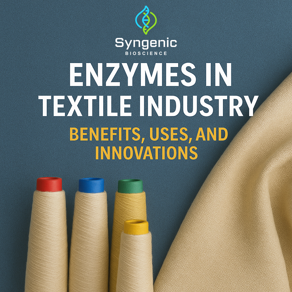 Enzymes in Textile Industry: Benefits, Uses & Innovations