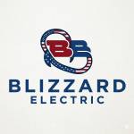 Blizzard Electric profile picture