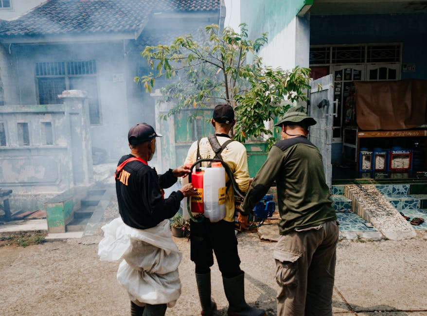 Top Pest Control Services Jackson MS | Jackson Pest Control
