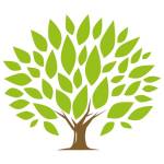 Ironwood Financial LLC profile picture
