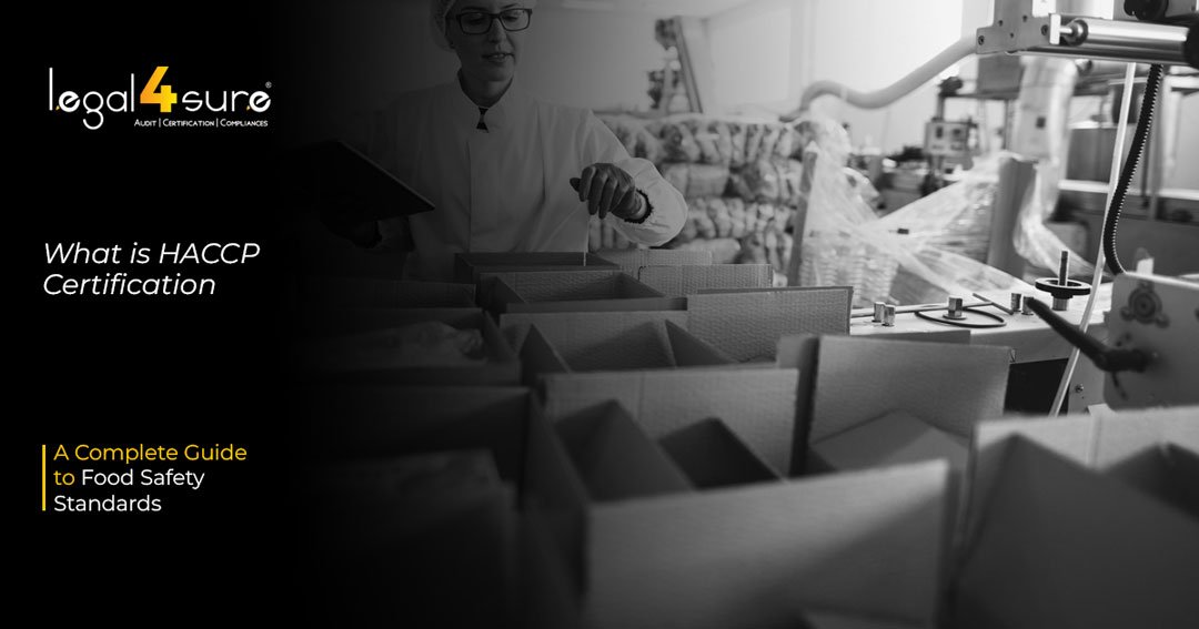 What Is HACCP Certification? Elevate Food Safety Standards