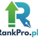 Off Page SEO Service profile picture