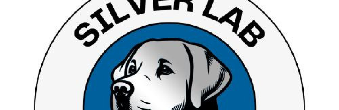 Silver Lab Roofing Cover Image