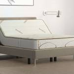 Zenhaven Latex Mattress Profile Picture