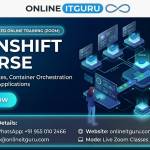 vronlineitguru ONLINEITGURU profile picture