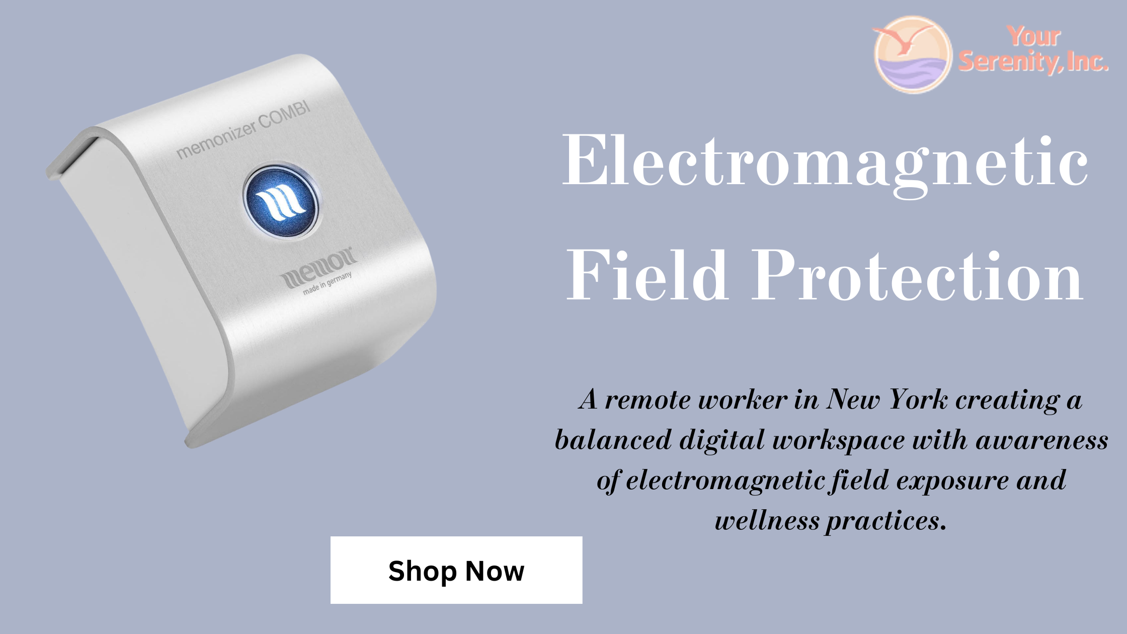 Why Is Electromagnetic Field Protection Important for New York Residents? – Site Title