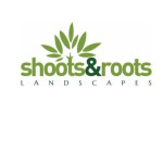 Shootsandroots wales profile picture