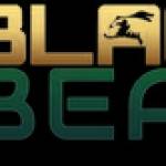 Black Bear Renovations LLC profile picture