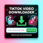teravideodownloader profile picture