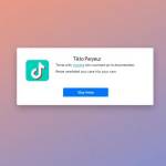 Tiktok Video Downloader profile picture