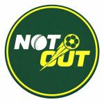 NOT OUT Profile Picture