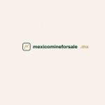 mexicomineforsale profile picture