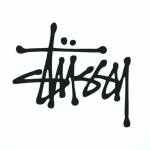 Stussy Hoodie profile picture