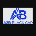 A2B Black Car Service profile picture
