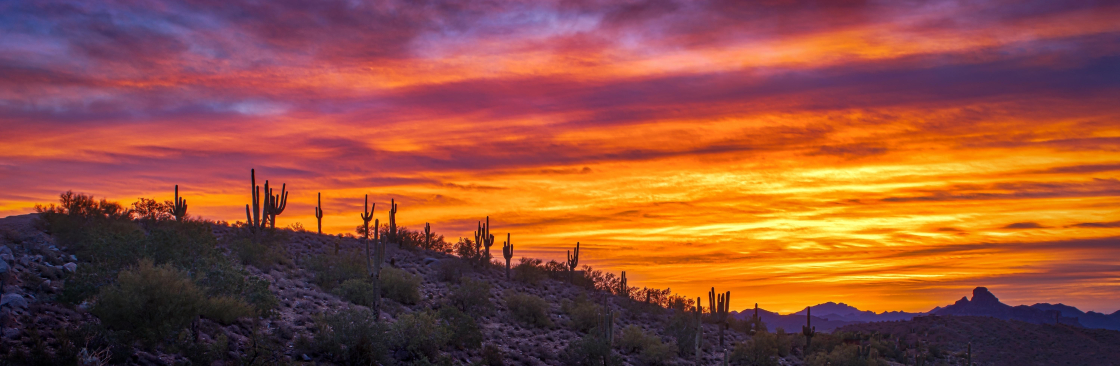 Pima Behavioral Health Cover Image