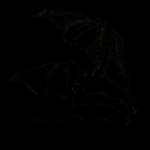 Bat City Limo Profile Picture