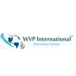 wvpInternational profile picture