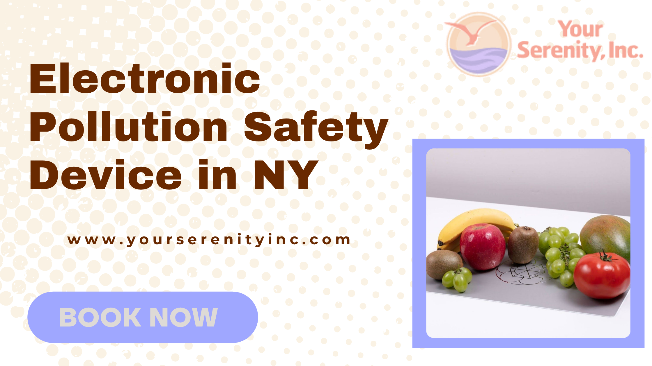 How to Choose the Right Electronic Pollution Safety Device in NY – Site Title