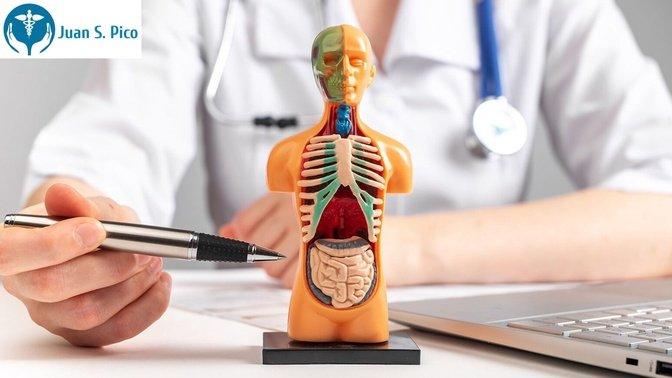 How Do Internal Medicine Doctors Help Adults Stay Healthy as They Age? | Articles | Dr. Juan S. Pico | Gan Jing World - Technology for Humanity | Video & Movie Streaming