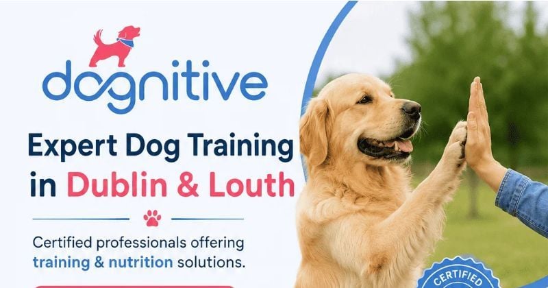 Dog Training Classes in Dublin