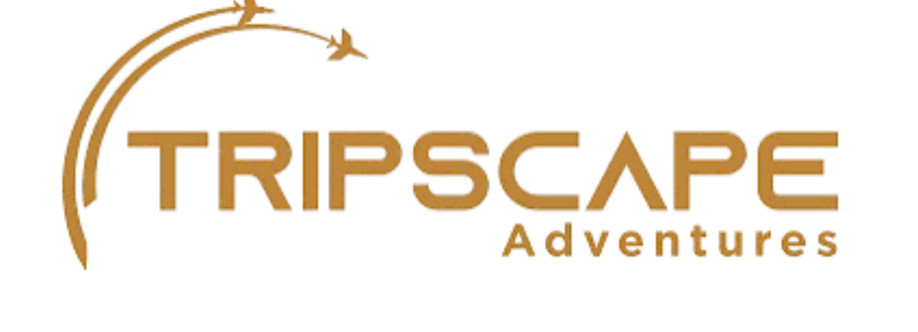 Tripscape Tourism UAE Tours and Desert Safari Cover Image