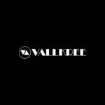 VALLKREE Profile Picture