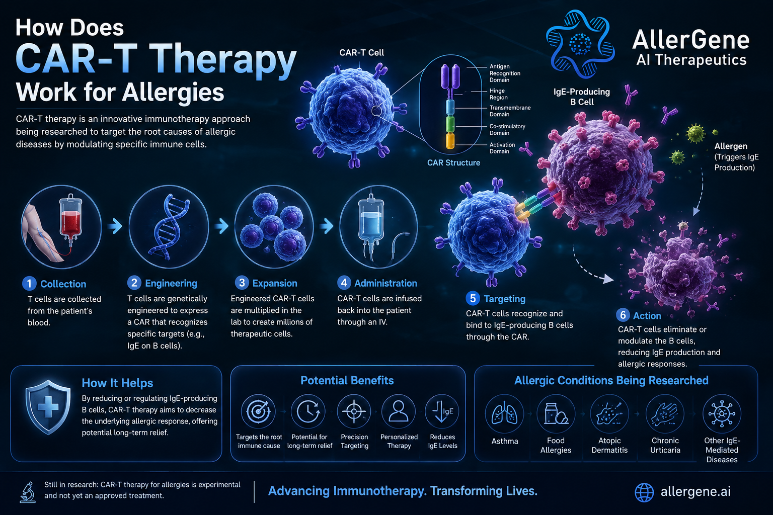 How Can a Safe, Transient CAR-T Platform Be Designed for Allergies?