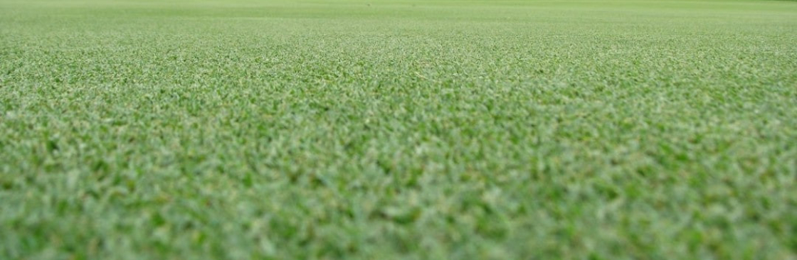 Artificial Grass Adelaide Cover Image