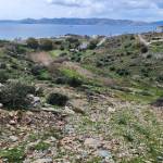 Greece Invests profile picture