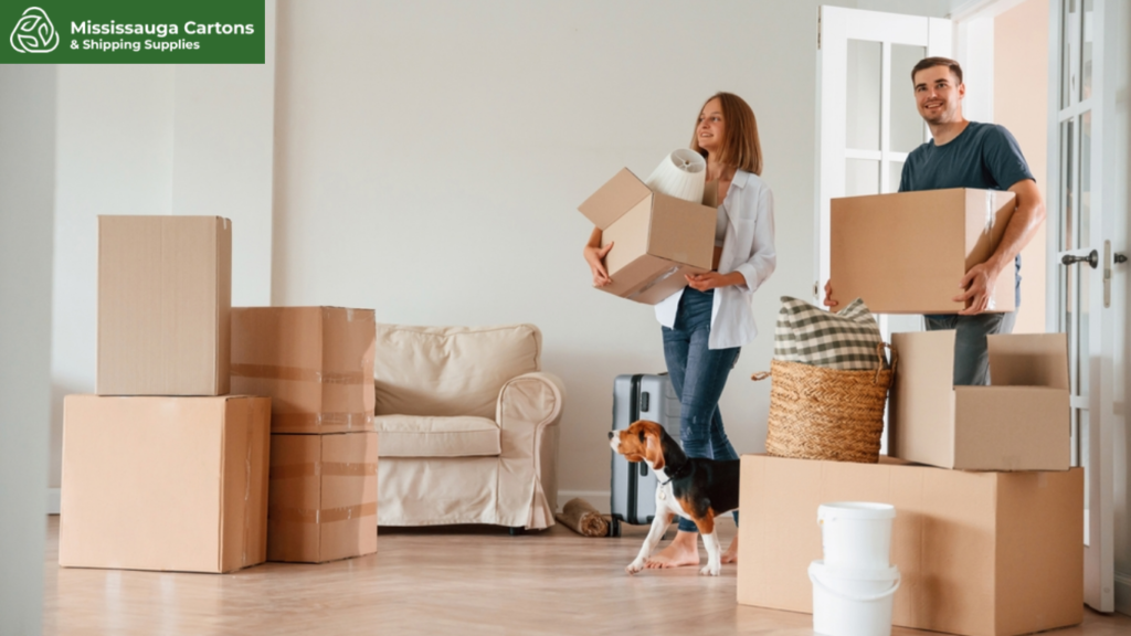 Pack It Right, Ship It Safe: Toronto’s Guide to Moving & Shipping Boxes - Blog Nest