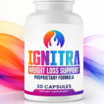 Ignitra Official Profile Picture