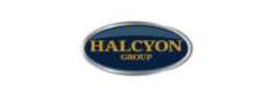 halcyongroup Cover Image