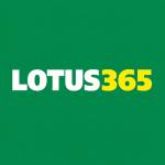 lotus anna profile picture